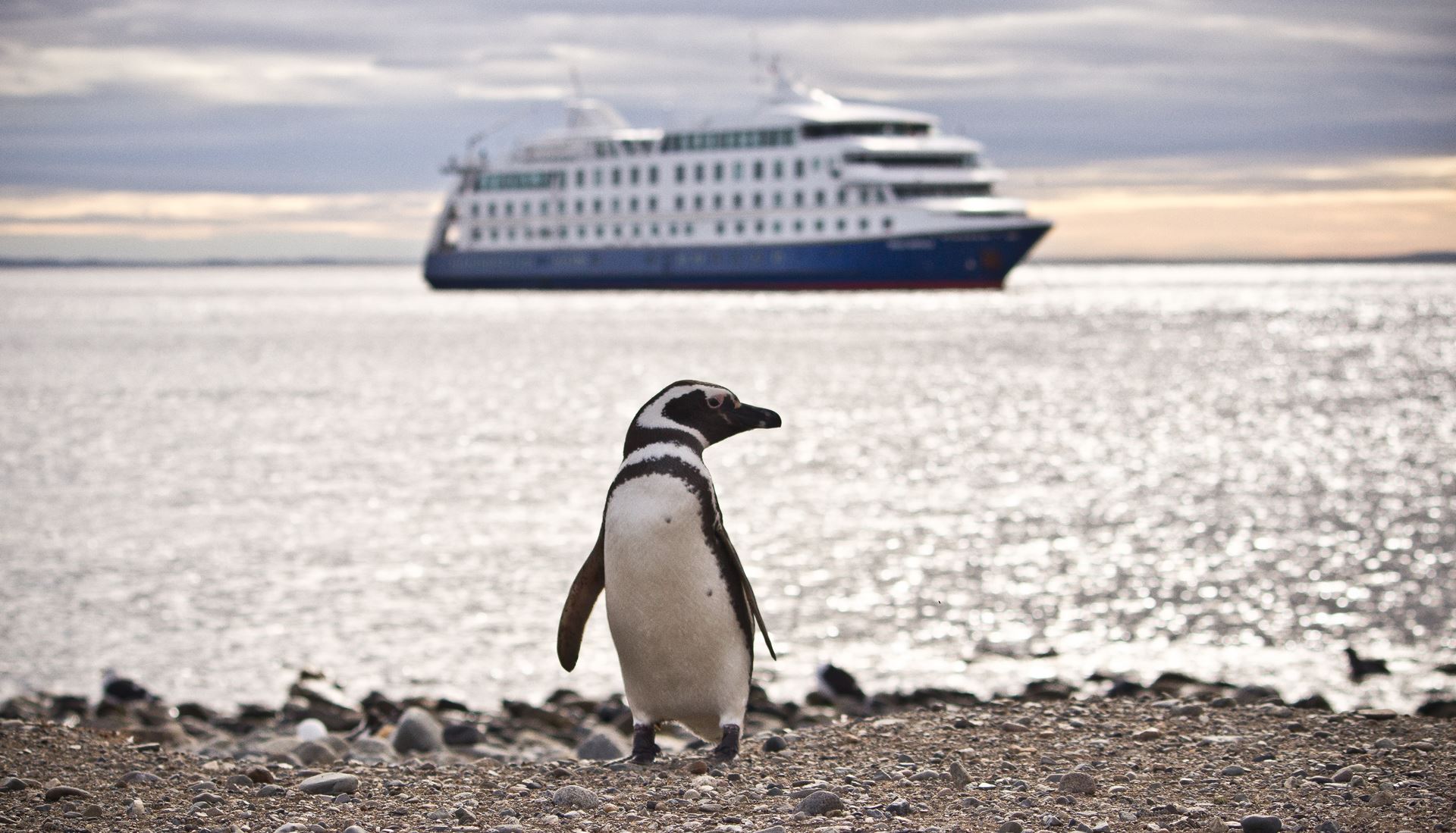 Crucero Mare Australis de Ushuaia a Punta Arenas