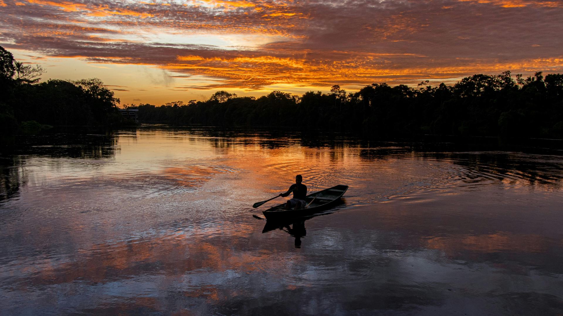 Viaje al Amazonas de Colombia: Rutas y Lugares para Visitar