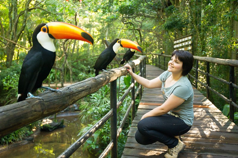 Parque Das Aves (Vogelpark) Im Üppigen Iguazu-wald
