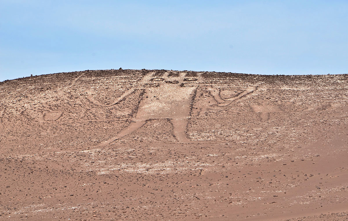 Felskunstroute: Atacama-riese Und Pintados-geoglyphen foto 9