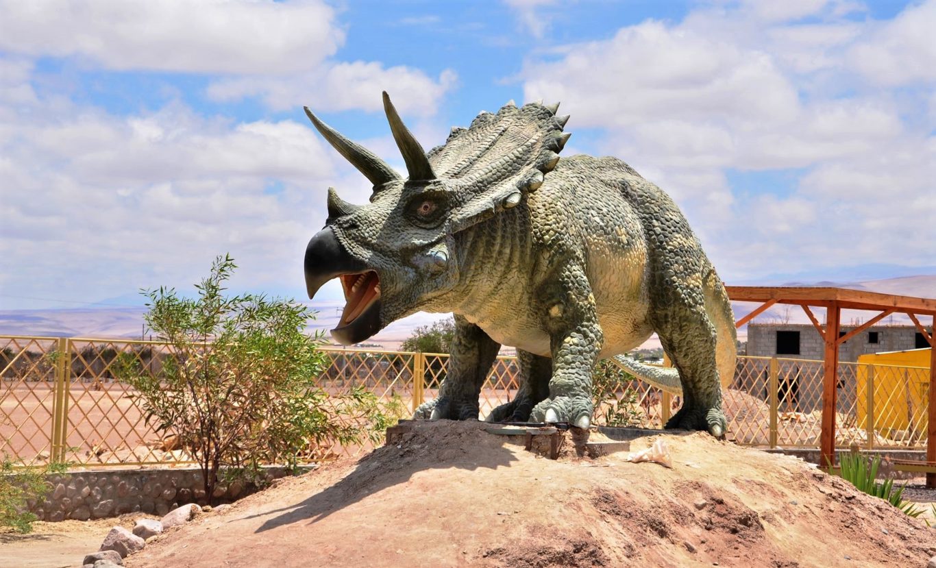 Great Oasis Of Pica And Saltpeter Towns: History, Culture And Nature foto 9