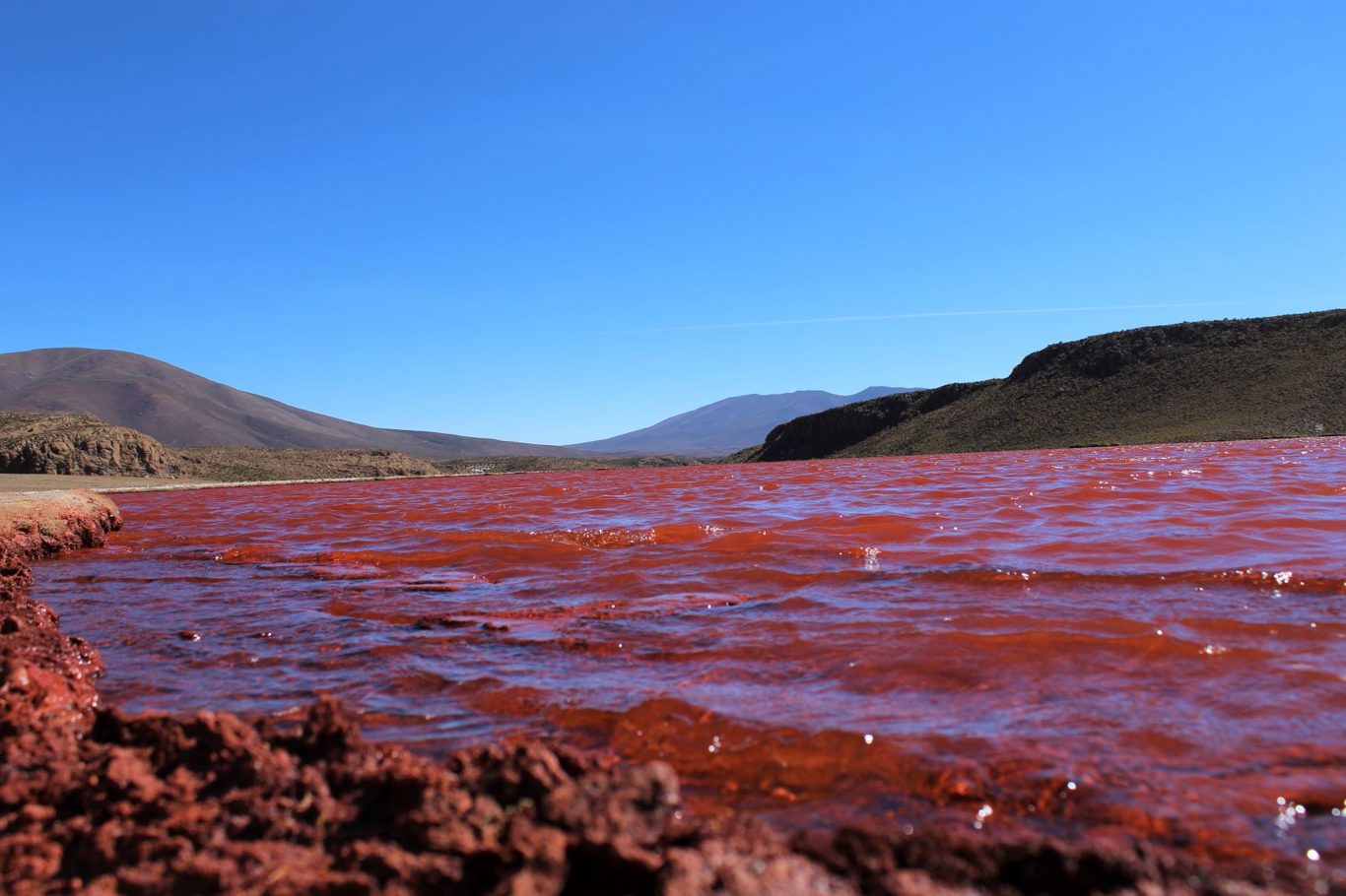 Le Mystérieux Lagon Rouge : Un Voyage Au Cœur De L`altiplano foto 9