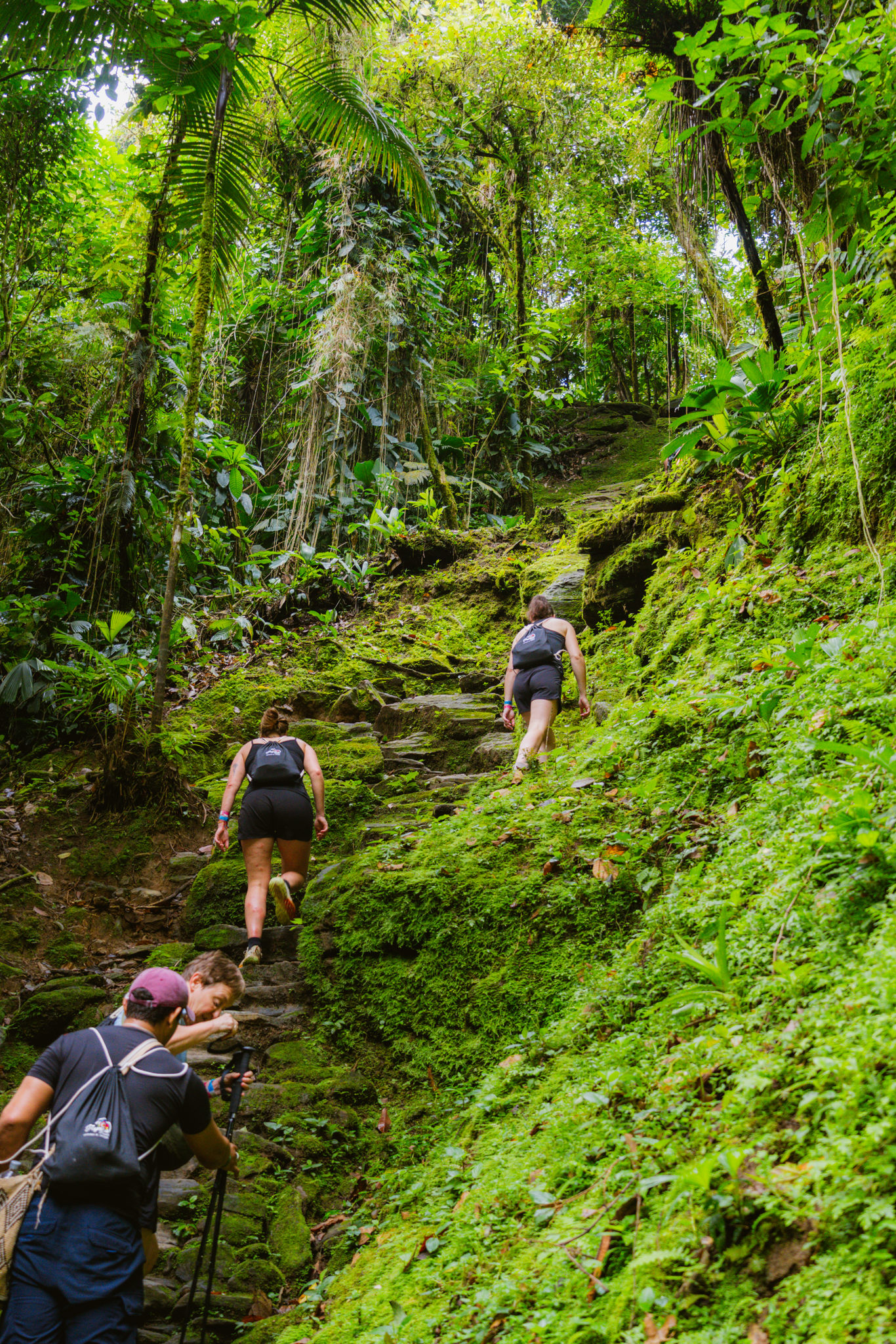 Trekking To The Lost City – 3 Days foto 5
