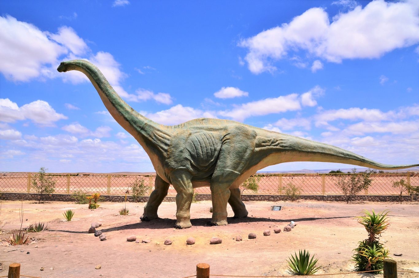 Great Oasis Of Pica And Saltpeter Towns: History, Culture And Nature foto 5