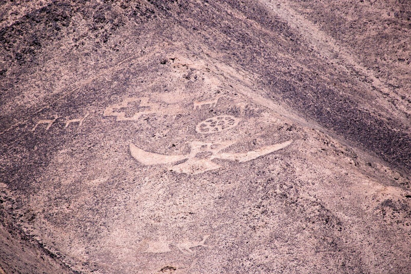Felskunstroute: Atacama-riese Und Pintados-geoglyphen foto 5