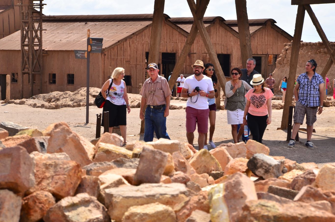 Great Oasis Of Pica And Saltpeter Towns: History, Culture And Nature foto 6