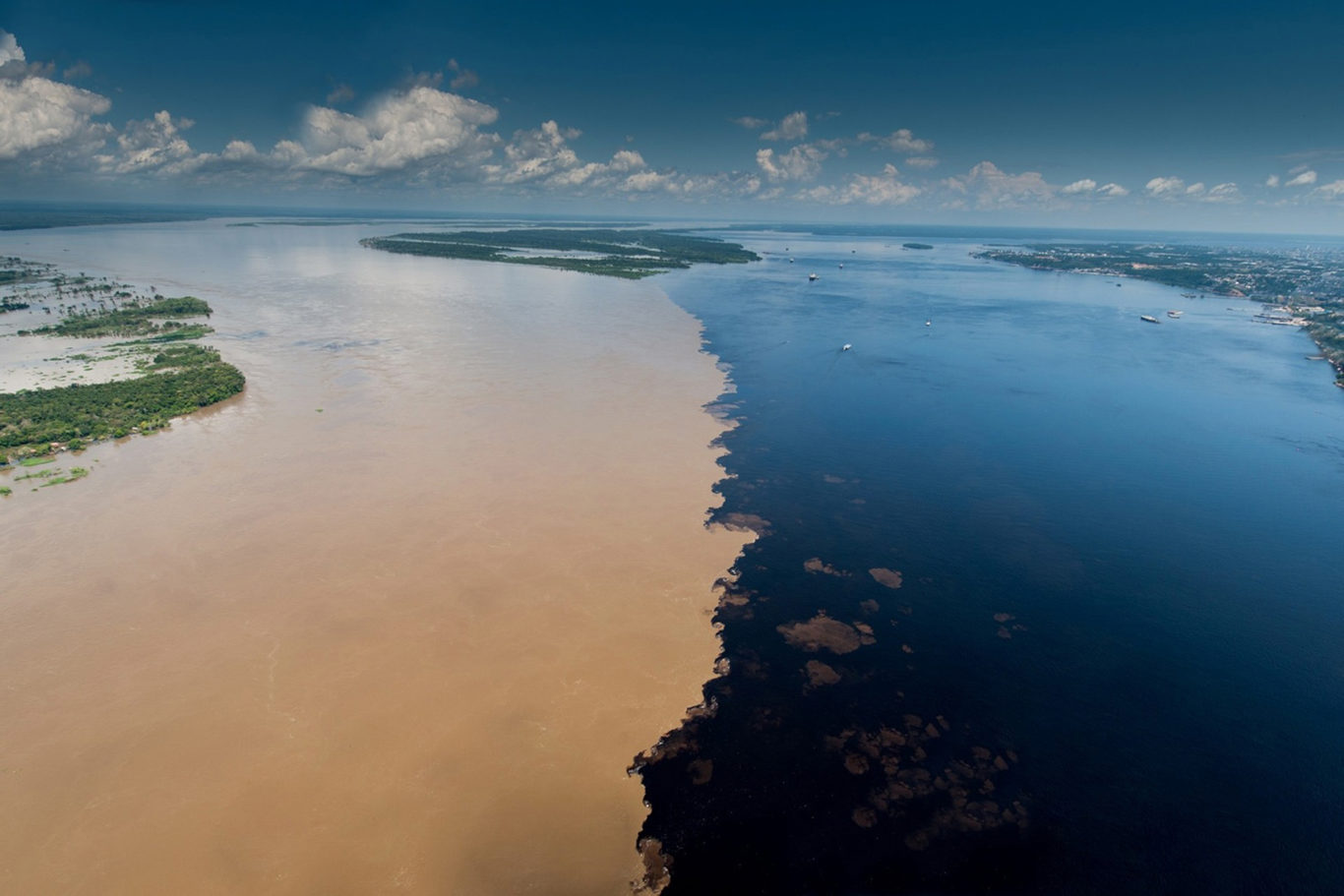 Juma Amazon Lodge – Amazonas Desde Manaos foto 6