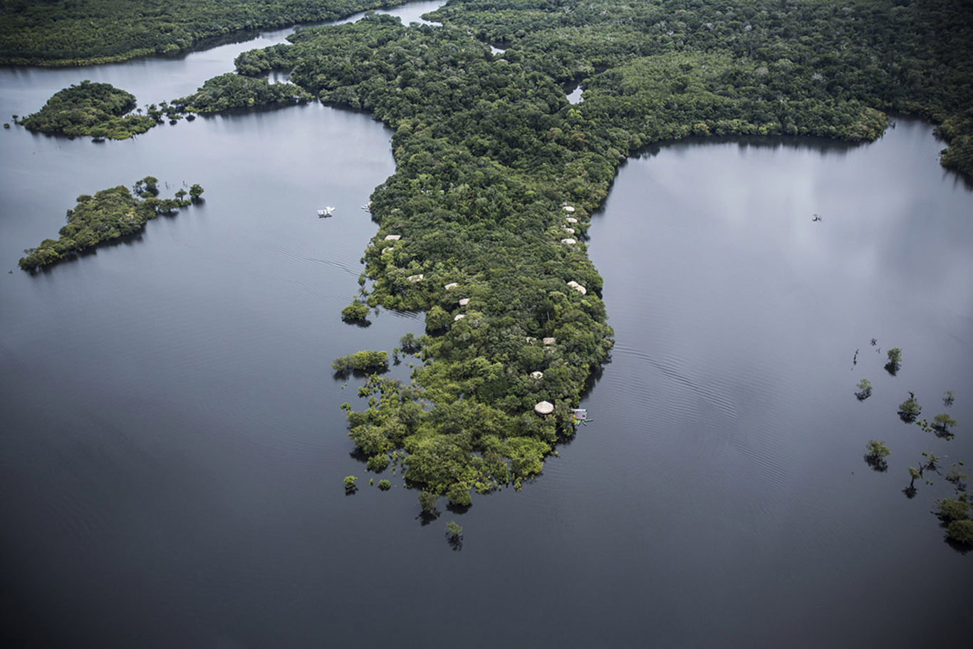 Juma Amazon Lodge – Amazonas Desde Manaos