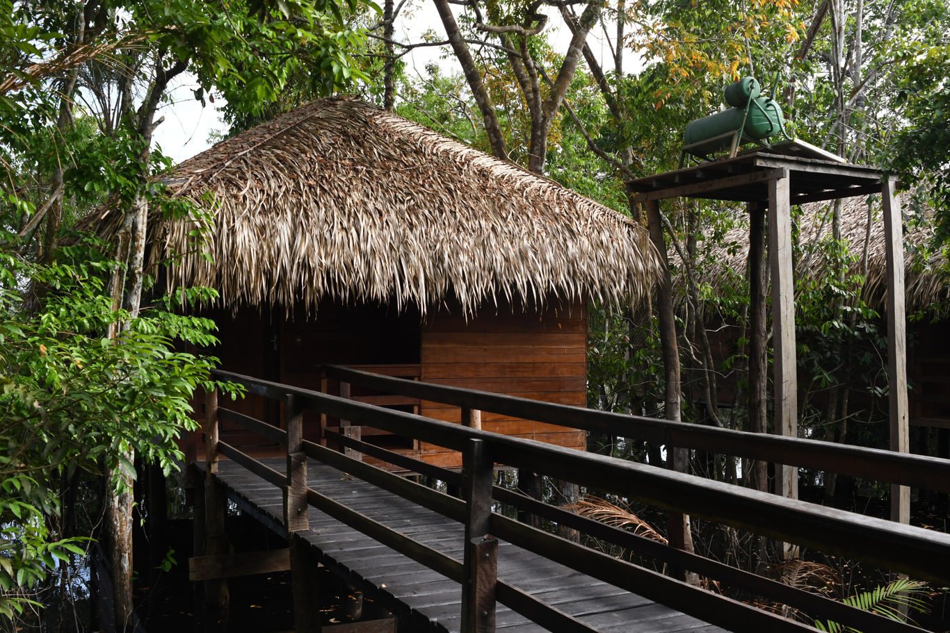 Juma Amazon Lodge – Amazonas Desde Manaos foto 10