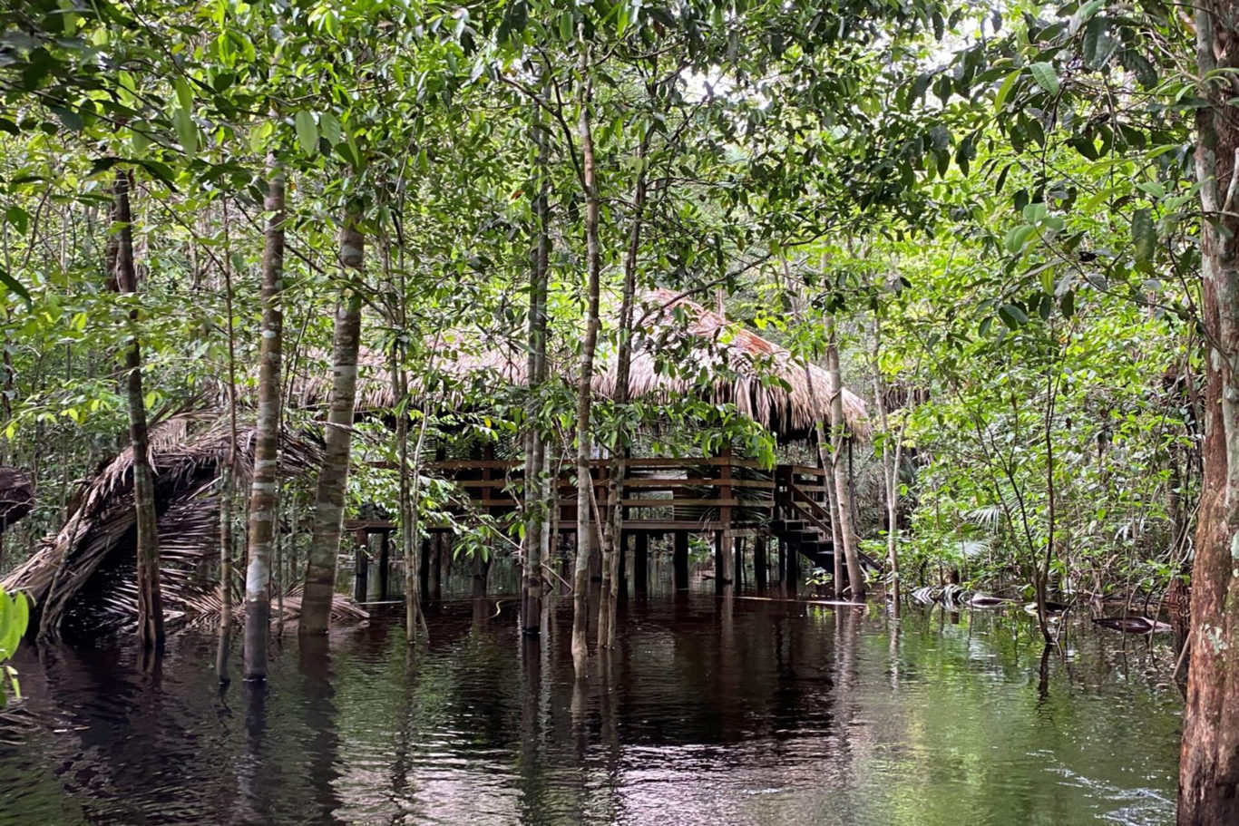 Juma Amazon Lodge – Amazonas Desde Manaos foto 2
