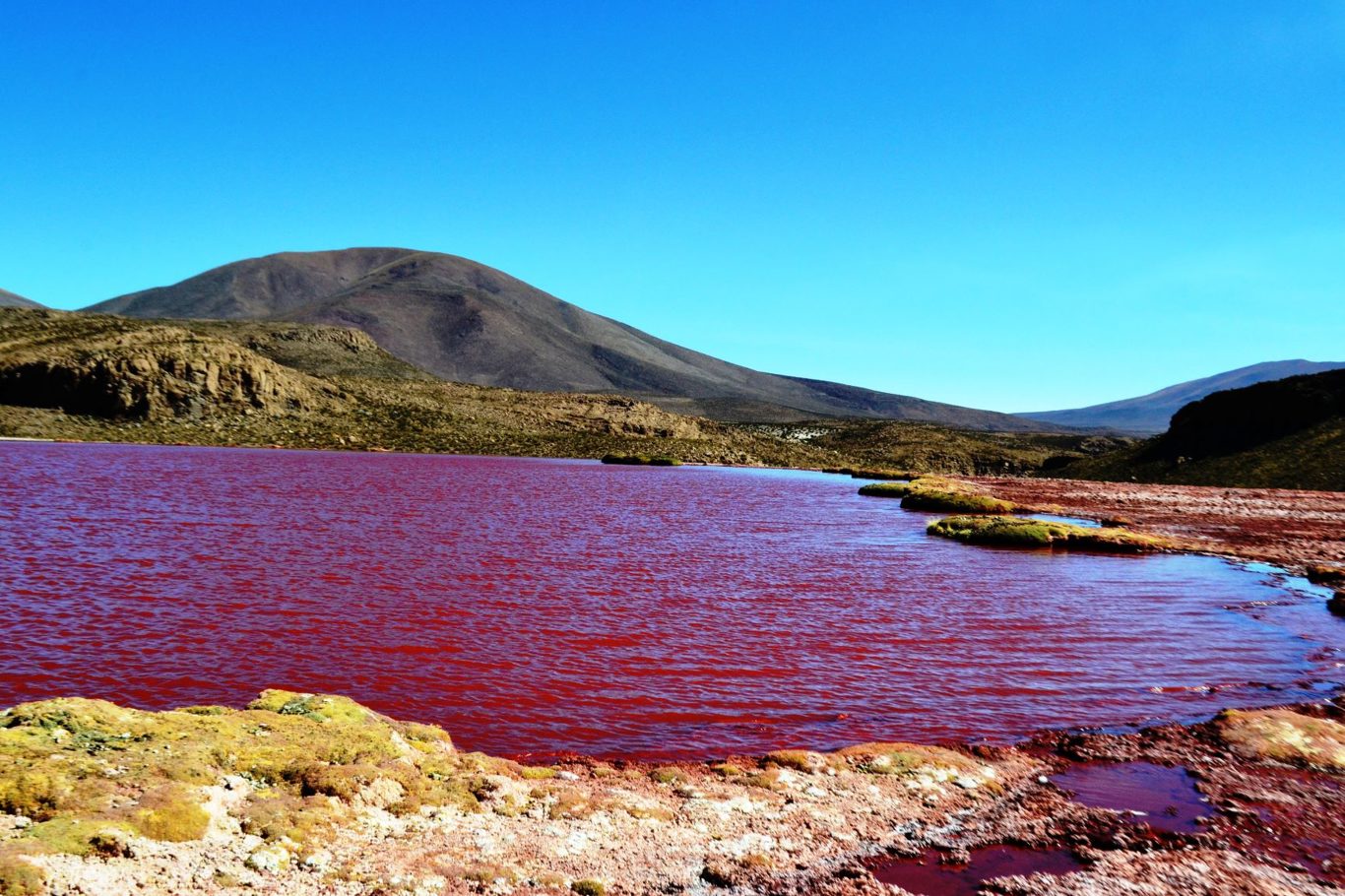 Le Mystérieux Lagon Rouge : Un Voyage Au Cœur De L`altiplano foto 8
