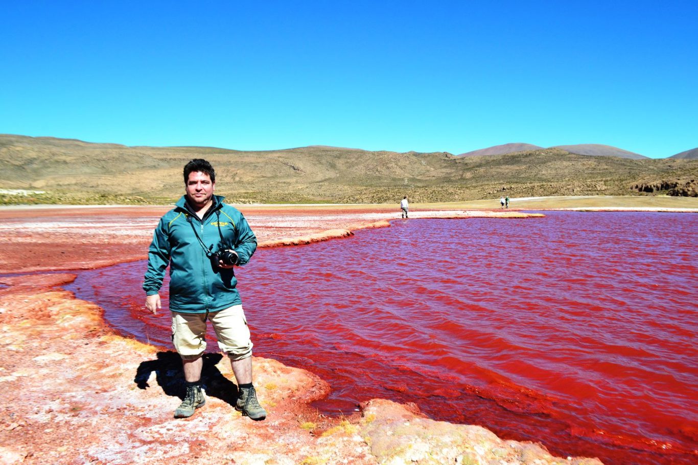 Le Mystérieux Lagon Rouge : Un Voyage Au Cœur De L`altiplano foto 3