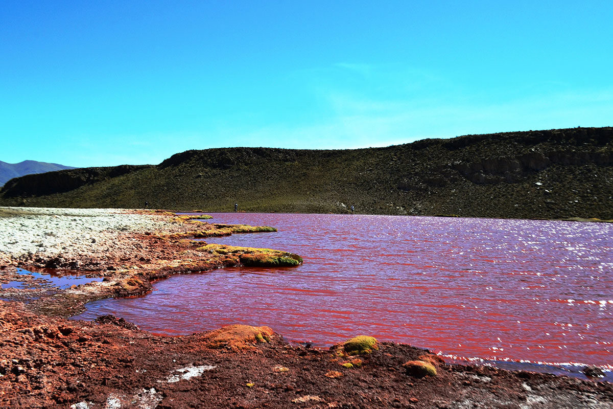 Le Mystérieux Lagon Rouge : Un Voyage Au Cœur De L`altiplano foto 5