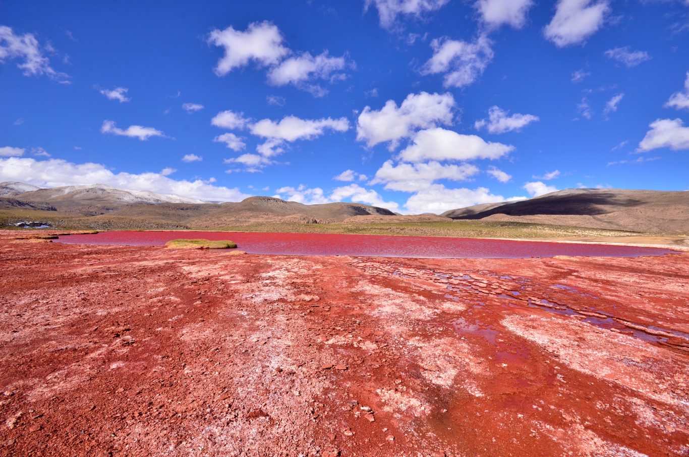 Le Mystérieux Lagon Rouge : Un Voyage Au Cœur De L`altiplano foto 4