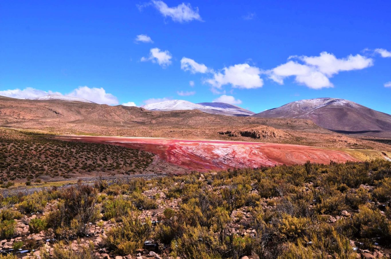 Le Mystérieux Lagon Rouge : Un Voyage Au Cœur De L`altiplano foto 2