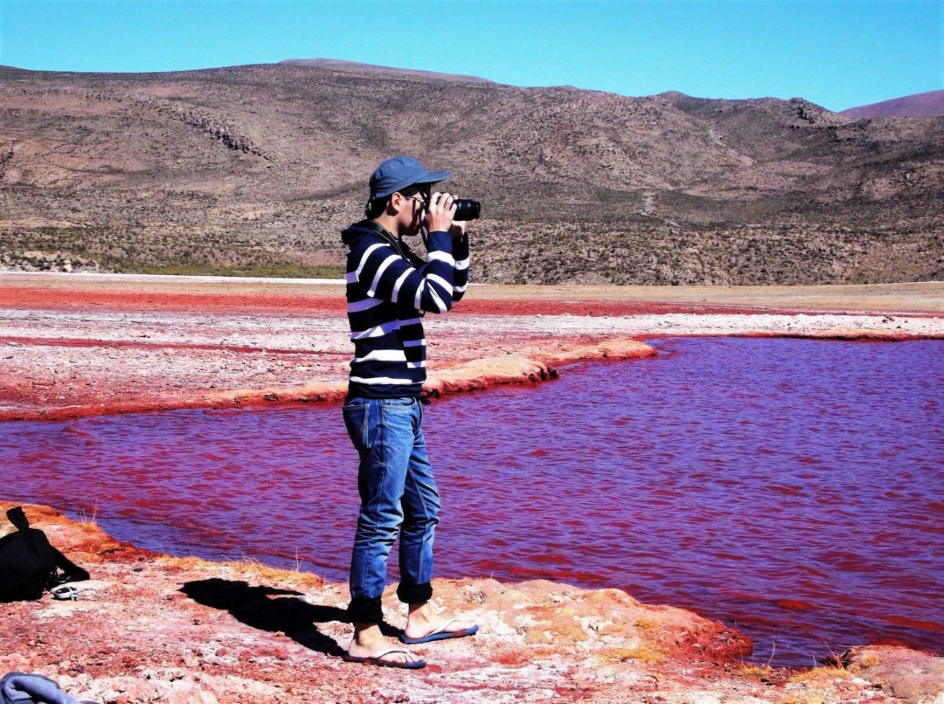 Le Mystérieux Lagon Rouge : Un Voyage Au Cœur De L`altiplano foto 1