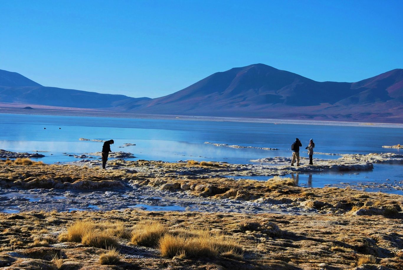 Salar Del Huasco National Park: Nature And Fauna Of The Altiplano foto 5