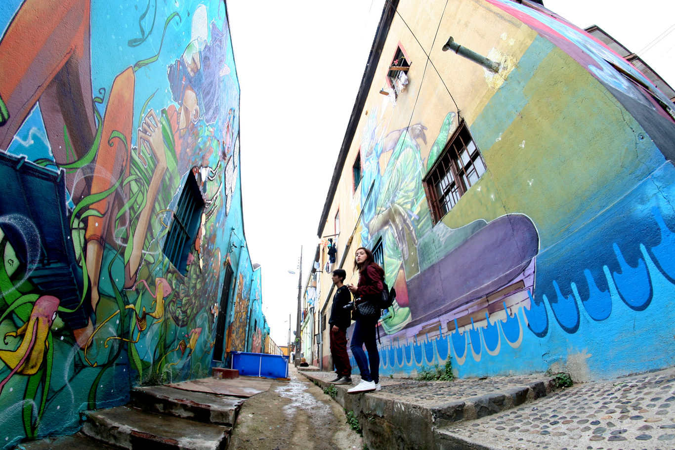 Valparaíso : Circuit D`art Urbain, De Peintures Murales Et De Street Art foto 15